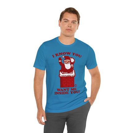 I Know You Want Me Inside You Santa Unisex Tee