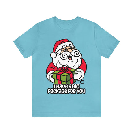 I Have a Big Package For You Santa Unisex Tee