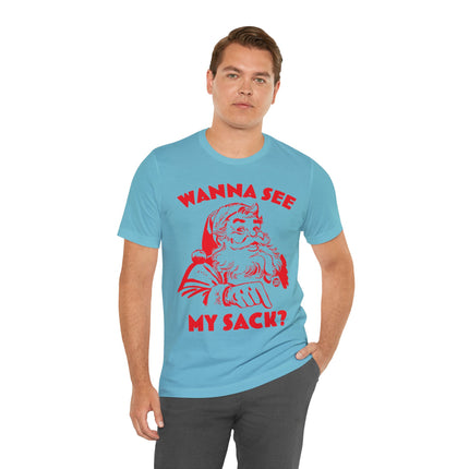 Wanna See My Package Santa Xmas Unisex Tee