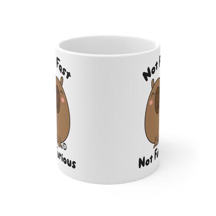 Not Fast Furious Ceramic Mug