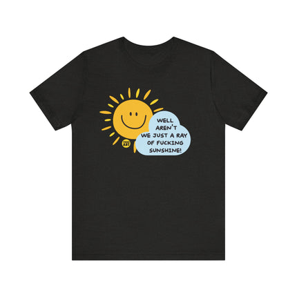 Aren't We A Fucking Ray Of Sunshine Tee