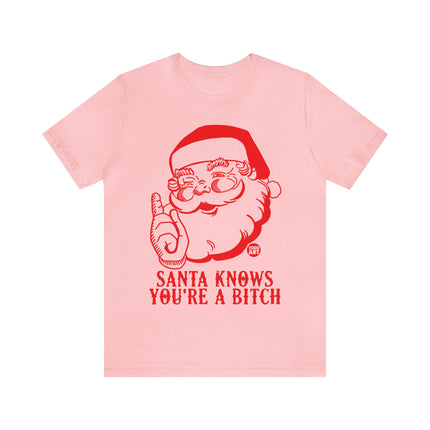 Santa Knows You're a Bitch Xmas Unisex Tee