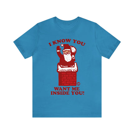 I Know You Want Me Inside You Santa Unisex Tee