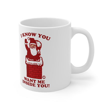 I Know You Want Me Inside You Santa Christmas Ceramic Mug