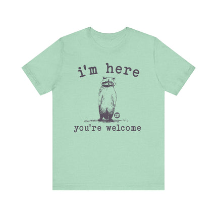 I'm Here You're Welcome Raccoon Tee, Funny Raccoon Tshirt