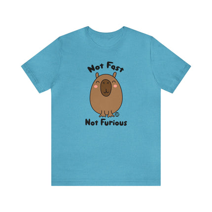 Not Fast Not Furious Capybara Unisex Tee