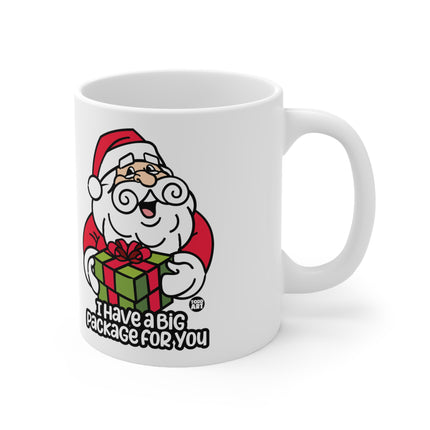 I Have a Big Package For You Santa Christmas Ceramic Mug