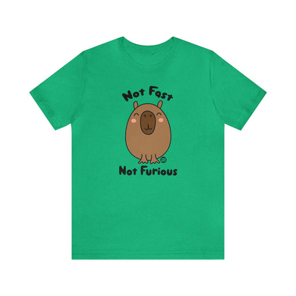 Not Fast Not Furious Capybara Unisex Tee