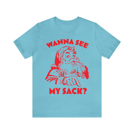 Wanna See My Package Santa Xmas Unisex Tee