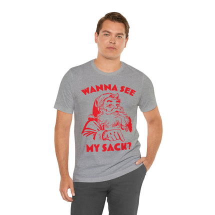 Wanna See My Package Santa Xmas Unisex Tee