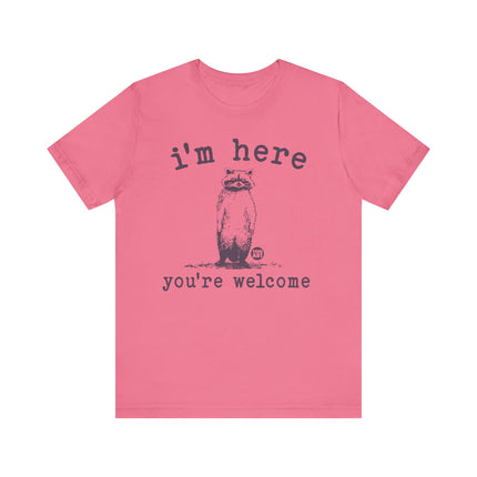 I'm Here You're Welcome Raccoon Tee, Funny Raccoon Tshirt