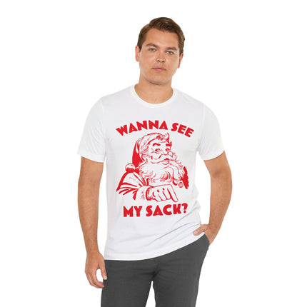 Wanna See My Package Santa Xmas Unisex Tee