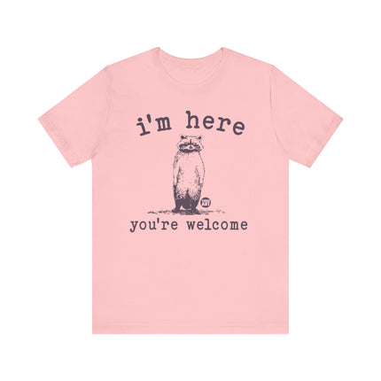 I'm Here You're Welcome Raccoon Tee, Funny Raccoon Tshirt