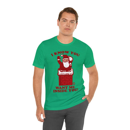 I Know You Want Me Inside You Santa Unisex Tee