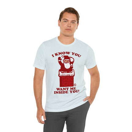 I Know You Want Me Inside You Santa Unisex Tee