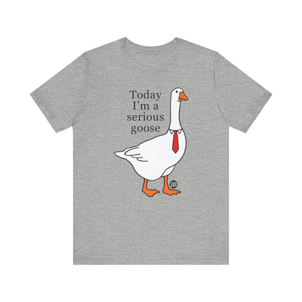 Today I'm a Serious Goose Tee, Funny Goose Tshirt