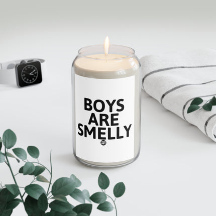 Boys Are Smelly Scented Candle, 13.75oz