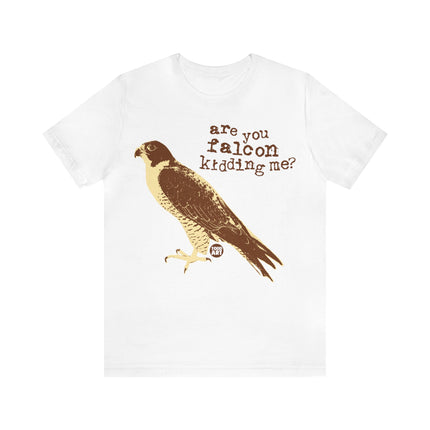 Are You Falcon Kidding me Unisex Tee