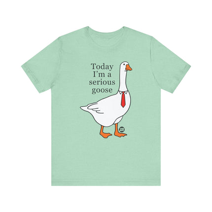 Today I'm a Serious Goose Tee, Funny Goose Tshirt