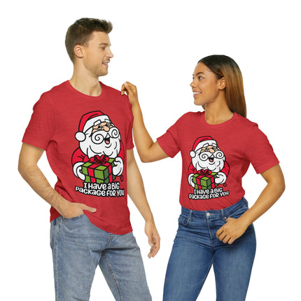 I Have a Big Package For You Santa Unisex Tee