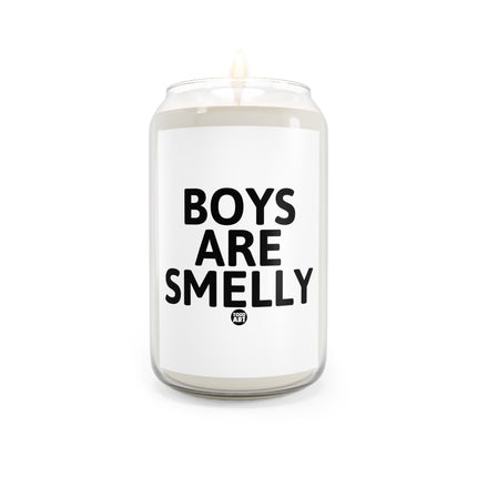 Boys Are Smelly Scented Candle, 13.75oz