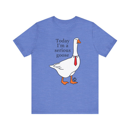 Today I'm a Serious Goose Tee, Funny Goose Tshirt