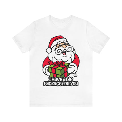 I Have a Big Package For You Santa Unisex Tee