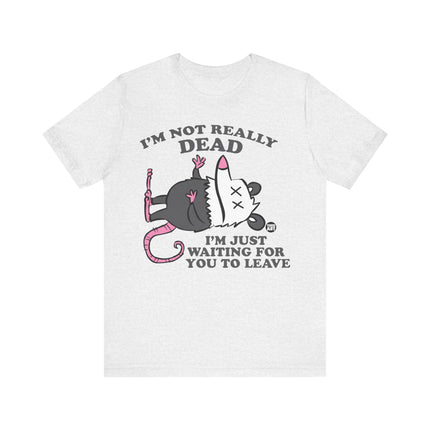 Not Really Dead Possum Tee, Funny Not Dead Possum Tshirt