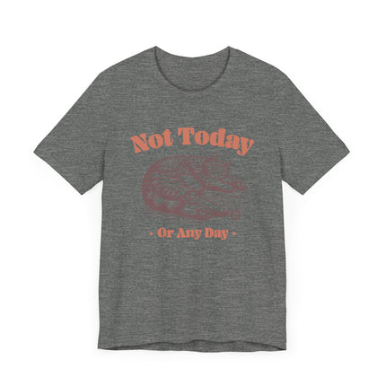 Funny "NOT TODAY OR ANY DAY" Cat Tee Shirt