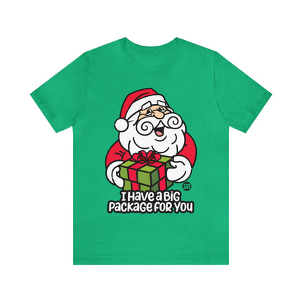 I Have a Big Package For You Santa Unisex Tee