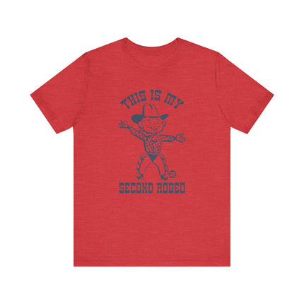 My Second Rodeo Tee Tee, Funny Rodeo Tee, Funny Cowboy Tshirt