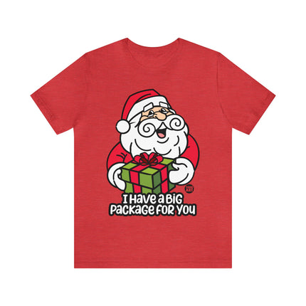 I Have a Big Package For You Santa Unisex Tee