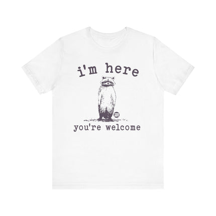 I'm Here You're Welcome Raccoon Tee, Funny Raccoon Tshirt