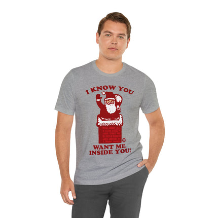 I Know You Want Me Inside You Santa Unisex Tee