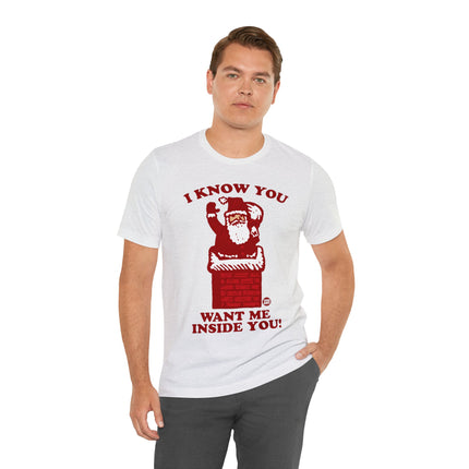 I Know You Want Me Inside You Santa Unisex Tee