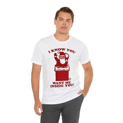 I Know You Want Me Inside You Santa Unisex Tee