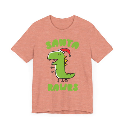 Cute "SANTA RAWRS" Dino Tee Shirt