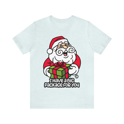 I Have a Big Package For You Santa Unisex Tee