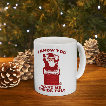 I Know You Want Me Inside You Santa Christmas Ceramic Mug