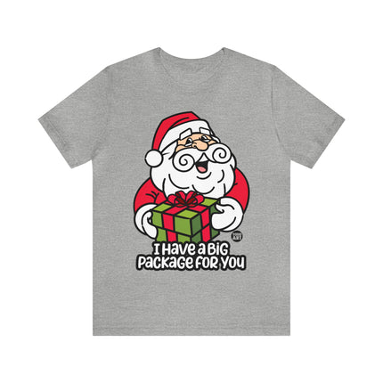 I Have a Big Package For You Santa Unisex Tee