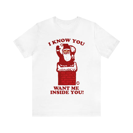 I Know You Want Me Inside You Santa Unisex Tee