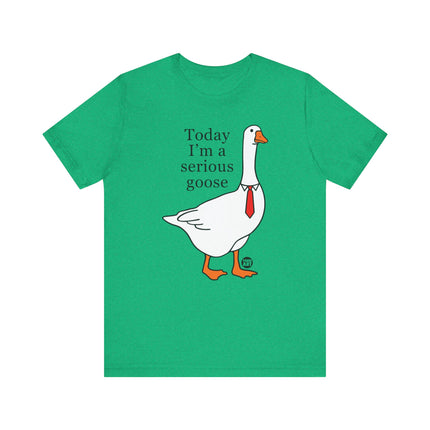 Today I'm a Serious Goose Tee, Funny Goose Tshirt