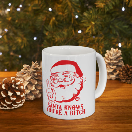 Santa Knows You're a Bitch Christmas Ceramic Mug