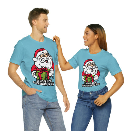 I Have a Big Package For You Santa Unisex Tee