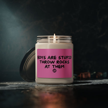 Boys Are Stupid Scented Soy Candle, 9oz