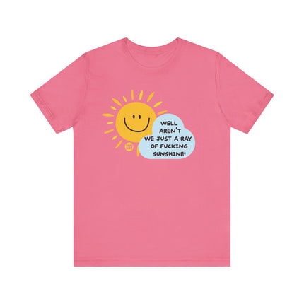 Aren't We A Fucking Ray Of Sunshine Tee