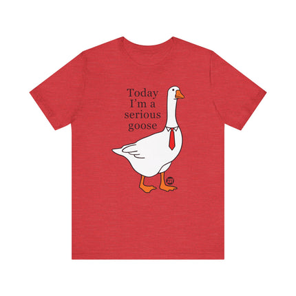 Today I'm a Serious Goose Tee, Funny Goose Tshirt