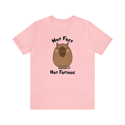 Not Fast Not Furious Capybara Unisex Tee