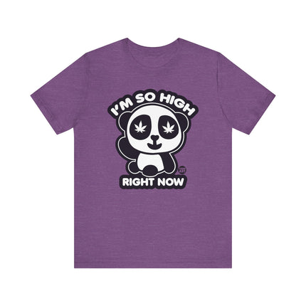 So High Panda Tee, Funny 420 So High Right Now Shirt