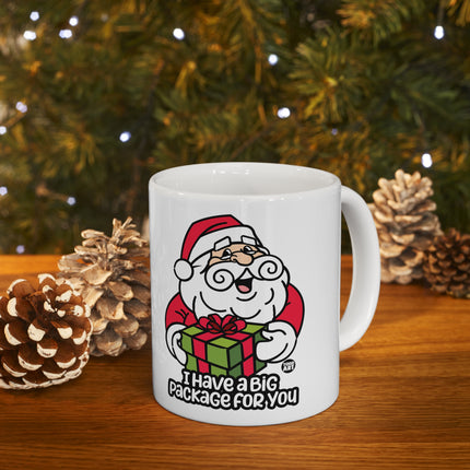 I Have a Big Package For You Santa Christmas Ceramic Mug